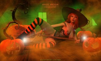 Magic Broom by WiL3D